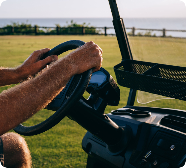 Golf Cart & LSV Fleet