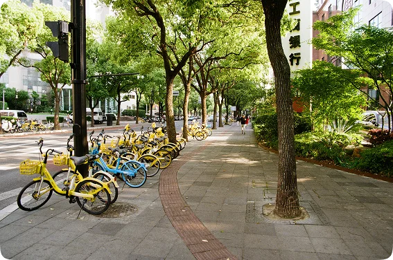 How to Start a Scooter Rental Business