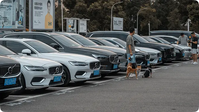 How to Start a Car Rental Business in 2026: A Step-by-Step Guide